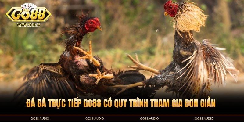 Hướng dẫn chơi đá gà trực tiếp GO88 chi tiết
