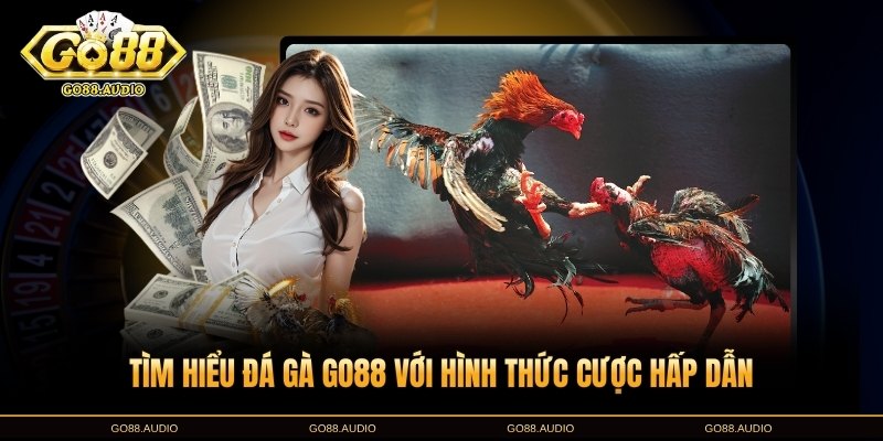 Tìm hiểu về đá gà GO88 và các hình thức cược